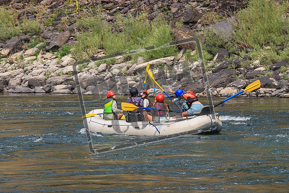 20260806-IMG_8684