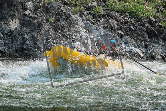20260806-IMG_8229