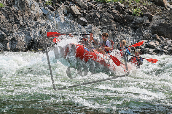 20260806-IMG_8486