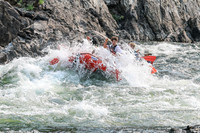 20260806-IMG_8481