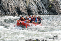 20260806-IMG_8477