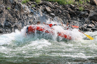 20260806-IMG_8526