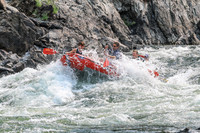 20260806-IMG_8521