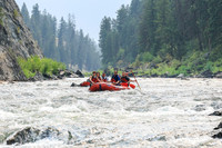 20260806-IMG_8512