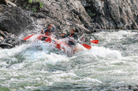 20260806-IMG_8555