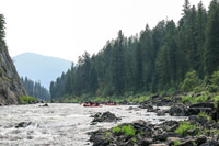 Raft 3