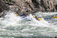 20260806-IMG_8776