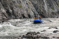 20260807-IMG_9525