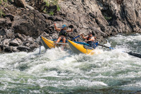 20260807-IMG_0555