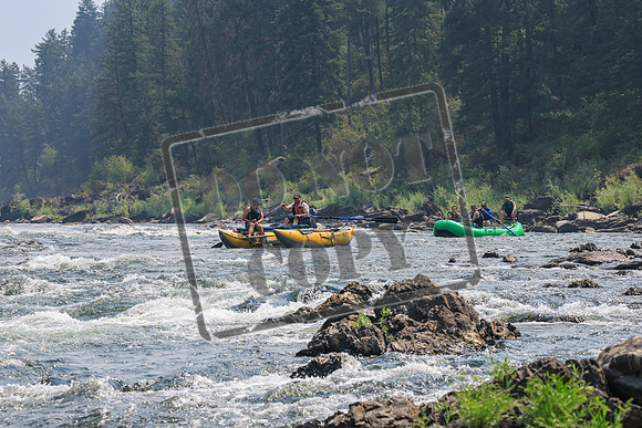 20260807-IMG_0542