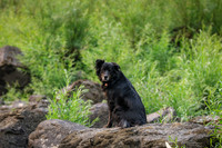 20260807-IMG_9421