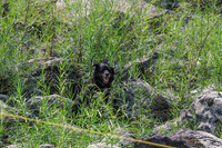 20260807-IMG_1191
