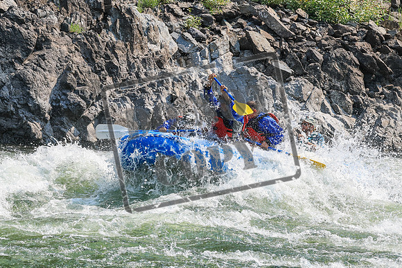 20260807-IMG_9919