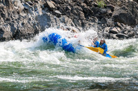 20260807-IMG_9938