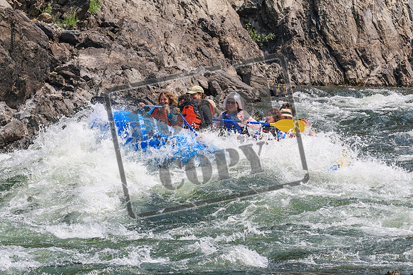 20260807-IMG_0812