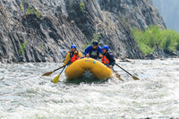 20260807-IMG_9774