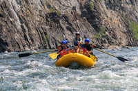 20260807-IMG_0453
