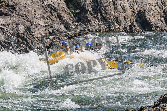 20260807-IMG_0462