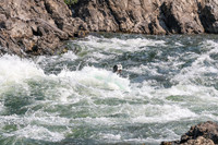 20260807-IMG_0715