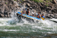 20260807-IMG_0356