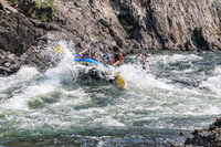 20260807-IMG_0350