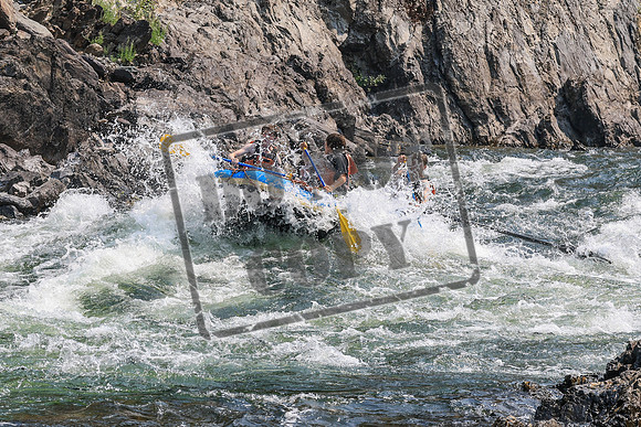 20260807-IMG_0350