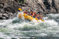 20260807-IMG_0375