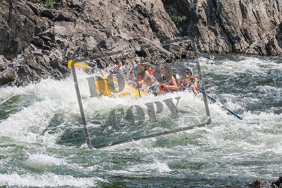 20260807-IMG_0374