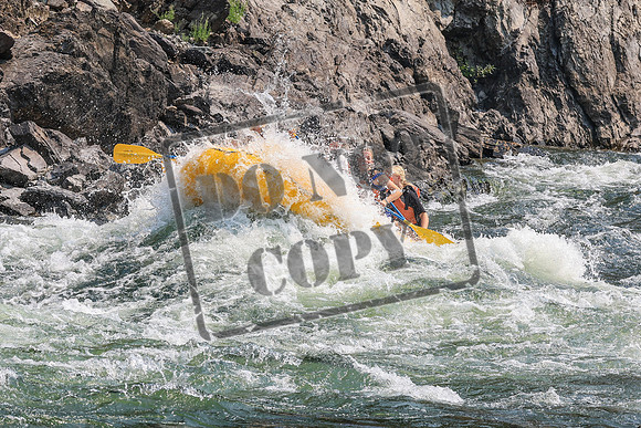 20260807-IMG_0411