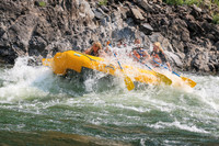 20260807-IMG_0417