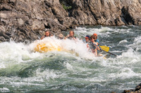 20260807-IMG_1062