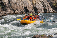 20260807-IMG_1101