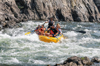 20260807-IMG_0142