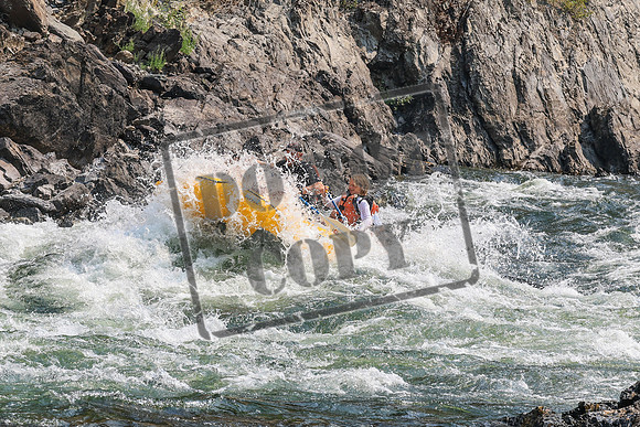 20260807-IMG_0145