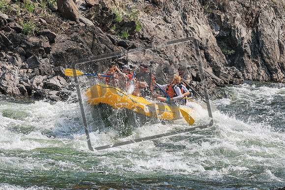 20260807-IMG_0146