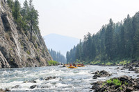 20260807-IMG_0129