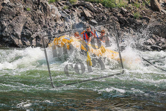 20260807-IMG_0174
