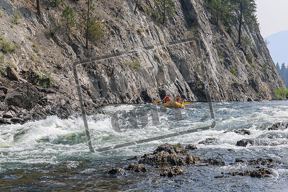 20260807-IMG_0182