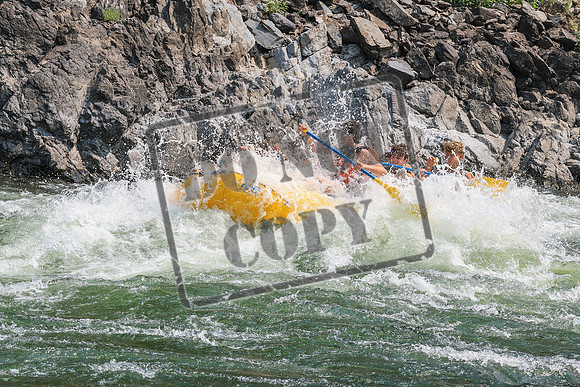 20260807-IMG_0196