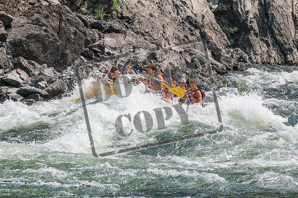 20260807-IMG_0190