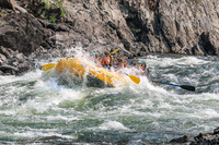 20260807-IMG_0245