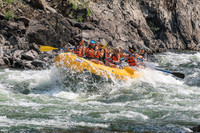 20260807-IMG_0246