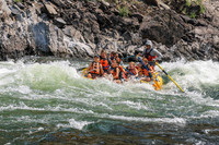 20260807-IMG_0276