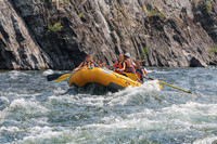 20260807-IMG_0264