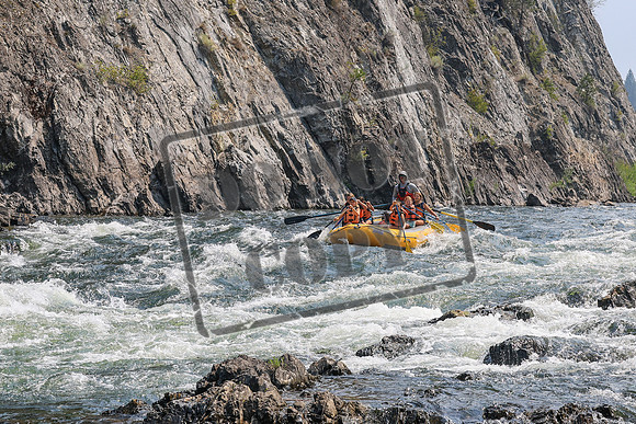 20260807-IMG_0265