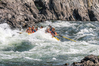 20260807-IMG_0271