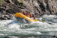 20260807-IMG_0273