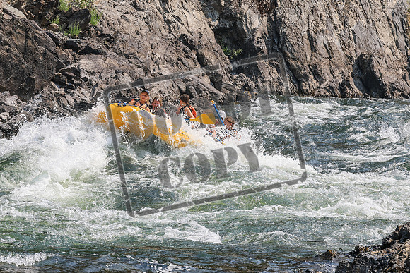 20260807-IMG_0272