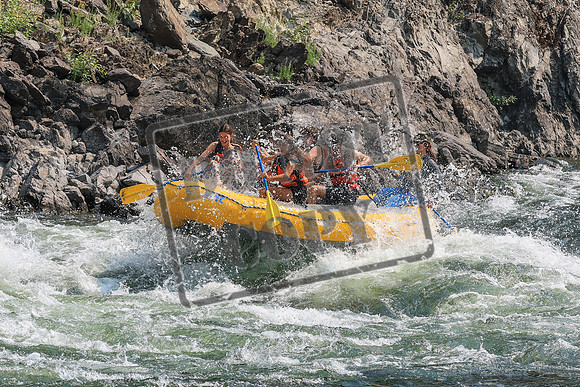 20260807-IMG_0295