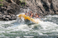 20260807-IMG_0329